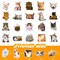 Cat Stickers Non-toxic Vinyl Stickers for Laptops Water Bottles and More